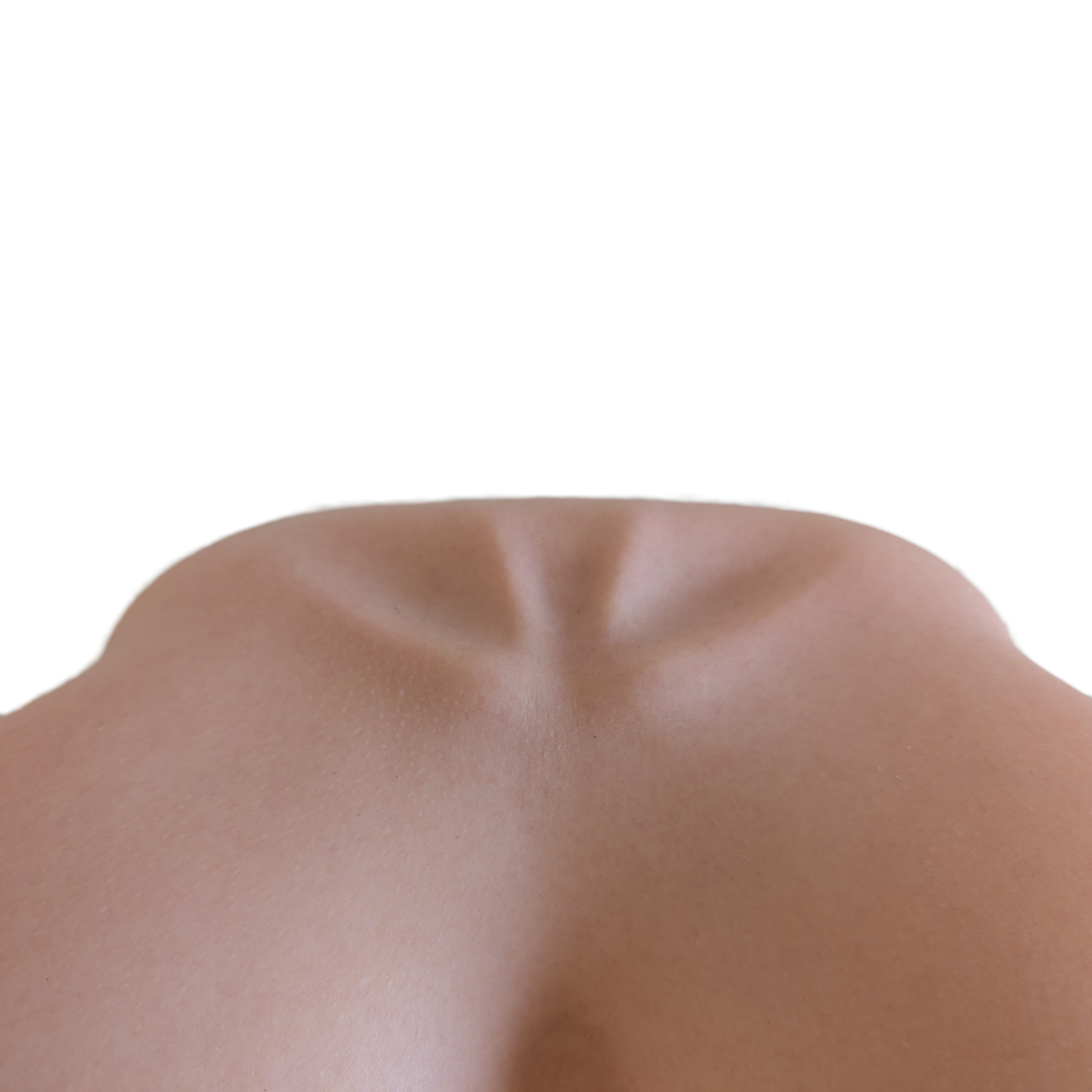 Big Naturals - Realistic Silicone Breast Toy